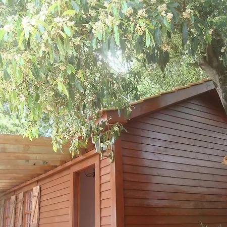 Holiday home A Cabana *